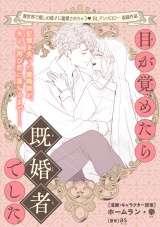 目が覚めたら既婚者でした。 パッケージ画像
