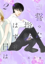 誓った指輪をはずす日は【描き下ろしおまけ付き特装版】 2 パッケージ画像
