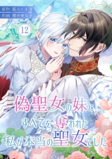 偽聖女の妹にすべてを奪われた私が本当の聖女でした 12 パッケージ画像