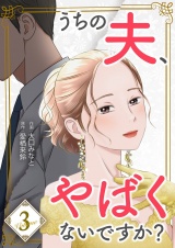 うちの夫、やばくないですか？【描き下ろしおまけ付き特装版】 3 パッケージ画像