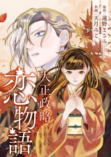 大正政略恋物語 3 パッケージ画像