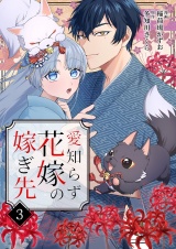 愛知らず花嫁の嫁ぎ先 3 パッケージ画像