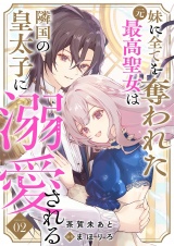 妹に全てを奪われた元最高聖女は隣国の皇太子に溺愛される 2 パッケージ画像