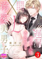 遅漏外国人は不器用なXL溺愛美男子～繊細な指先と腰づかいで初めて感じる絶頂SEX～（3巻） パッケージ画像