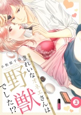 きれいなオネエさんは野獣でした！？〜エリートさんと社畜女子【電子特装版】（３） パッケージ画像