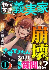 ヤバすぎ義実家崩壊させてきたんだけど何か質問ある？ （1） パッケージ画像