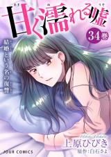 甘く濡れる嘘～結婚という名の復讐～（34巻） パッケージ画像