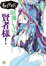 もうやめて回復しないで賢者様！【秋田書店版】　3 パッケージ画像