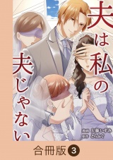 【合冊版】夫は私の夫じゃない（3） パッケージ画像