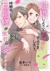 離婚しようと記憶喪失のふりをしたら、怜悧な旦那様が激甘に愛してきます2 パッケージ画像