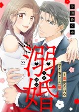 【分冊版】溺婚〜溺愛されるできちゃった婚〜22話 パッケージ画像