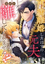 円満離婚したはずの元夫がなぜか離してくれません!?(11) パッケージ画像