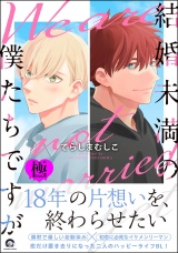 結婚未満の僕たちですが【極】 パッケージ画像