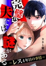 完璧な夫には謎がある〜レス4年目の事情〜（10） パッケージ画像