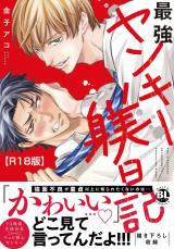 最強ヤンキー躾日記【R18単行本版】 パッケージ画像