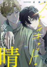 【分冊版】ストレイキャットの夜明けは晴 5. パッケージ画像