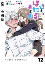 【分冊版】近すぎほたるで身を焦がす 12 パッケージ画像