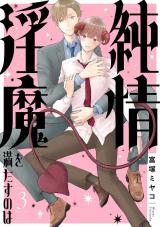 純情淫魔を満たすのは3 パッケージ画像
