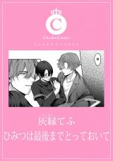 ひみつは最後までとっておいて パッケージ画像