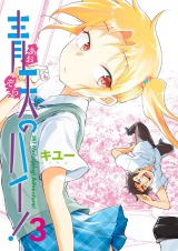青天のハイ！ (3) パッケージ画像