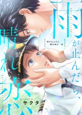 雨が止んだら、晴れ時々…恋(4) パッケージ画像