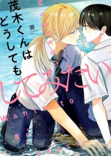 茂木くんはどうしてもしてみたい(4) パッケージ画像