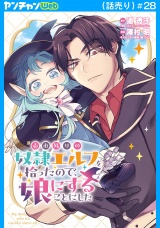 売れ残りの奴隷エルフを拾ったので、娘にすることにした(話売り)　#28 パッケージ画像