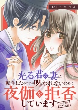 【分冊版】光る君の妻に転生したのですが 呪われないために夜伽を拒否しています【心恋】　13 パッケージ画像