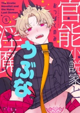 官能小説家とうぶな淫魔 5 パッケージ画像