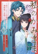 私のかみさま〜虐げられても清廉潔白でいたら神獣様に求婚されました〜 6 パッケージ画像