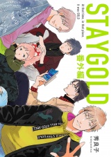 STAYGOLD 番外編 パッケージ画像