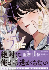 転生した脇役平凡な僕は、美形第二王子をヤンデレにしてしまった２ パッケージ画像