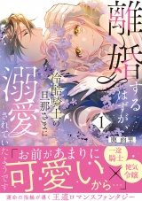 離婚するはずが、冷酷騎士の旦那さまに溺愛されていたようです【コミックス版／描き下ろし特典つき】(1) パッケージ画像