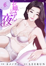 お姉さんの夜６ パッケージ画像