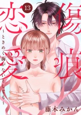 傷痕恋愛〜ときめく胸がないとしても〜(話売り)　#13 パッケージ画像