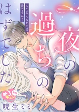 【妄想めろキュンアンソロジー／一夜の過ちのはずでした】もてあそんだのは誰ですか？ パッケージ画像