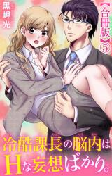 冷酷課長の脳内はHな妄想ばかり。【合冊版】5 パッケージ画像