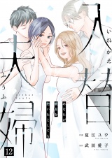 入替夫婦〜あなたが親友を抱いたとしても〜（１２） パッケージ画像