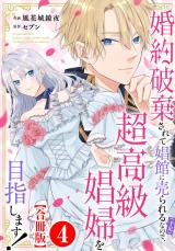 婚約破棄されて娼館に売られる（予定）なので、超高級娼婦を目指します！【合冊版】4 パッケージ画像