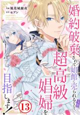 婚約破棄されて娼館に売られる（予定）なので、超高級娼婦を目指します！13 パッケージ画像