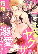 オネエ系ヤクザに毎晩溺愛されてます 65 パッケージ画像