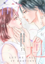 私はソレを運命と呼びたい 11 パッケージ画像