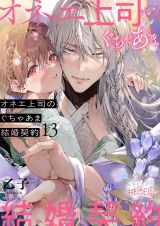 オネエ上司のぐちゃあま結婚契約 13 パッケージ画像