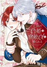 亡国のΩ姫は宿敵αに娶られる【描き下ろしおまけ付き特装版】 1 パッケージ画像
