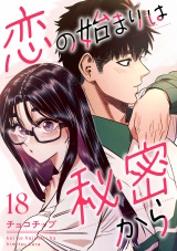 恋の始まりは秘密から１８ パッケージ画像