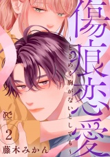 傷痕恋愛〜ときめく胸がないとしても〜　2 パッケージ画像