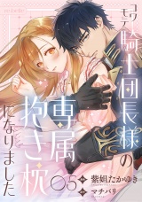 コワモテ騎士団長様の専属抱き枕になりました（５） パッケージ画像