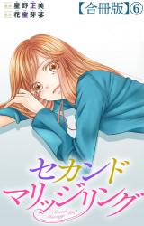 セカンドマリッジリング【合冊版】6 パッケージ画像