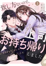 致し方ないので、上司お持ち帰りしました【単話売】 3話 パッケージ画像