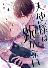 天使様は跪かない 第4話 パッケージ画像